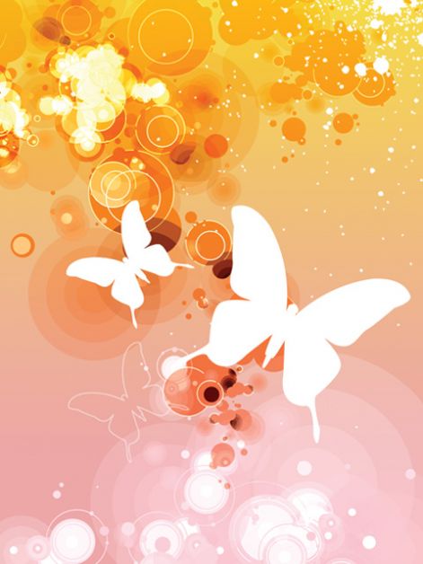 butterfly-default-orange-white.jpg